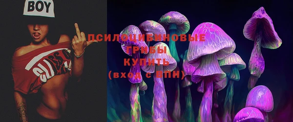 СК Зеленодольск