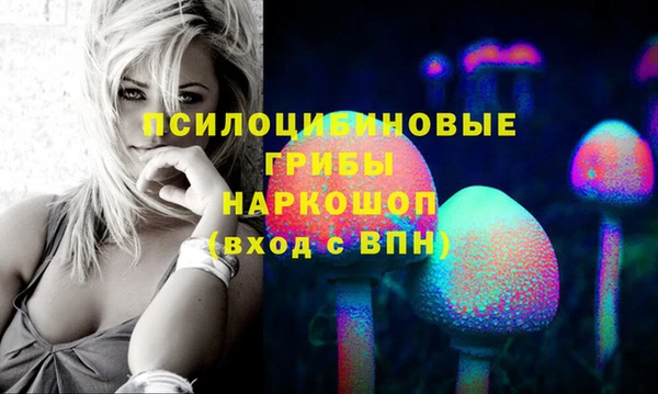 СК Зеленодольск