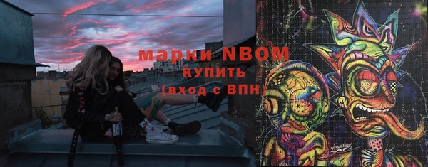 СК Зеленодольск