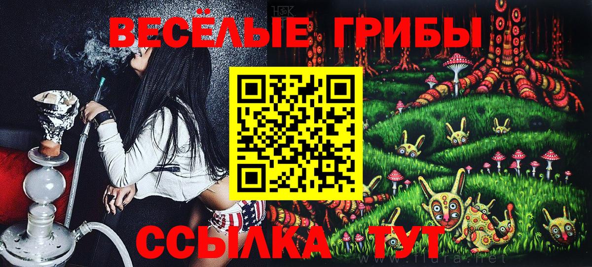 Галлюциногенные грибы ЛСД  дарнет шоп  Тулун  Вход с VPN 